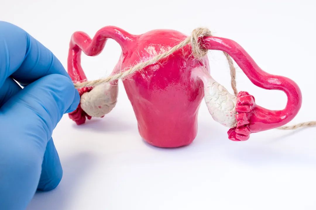 輸卵管阻塞對生育的影響,輸卵管造影檢查費(fèi)用多少錢