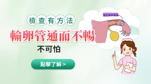 1745397040322800.jpg 輸卵管9.jpg